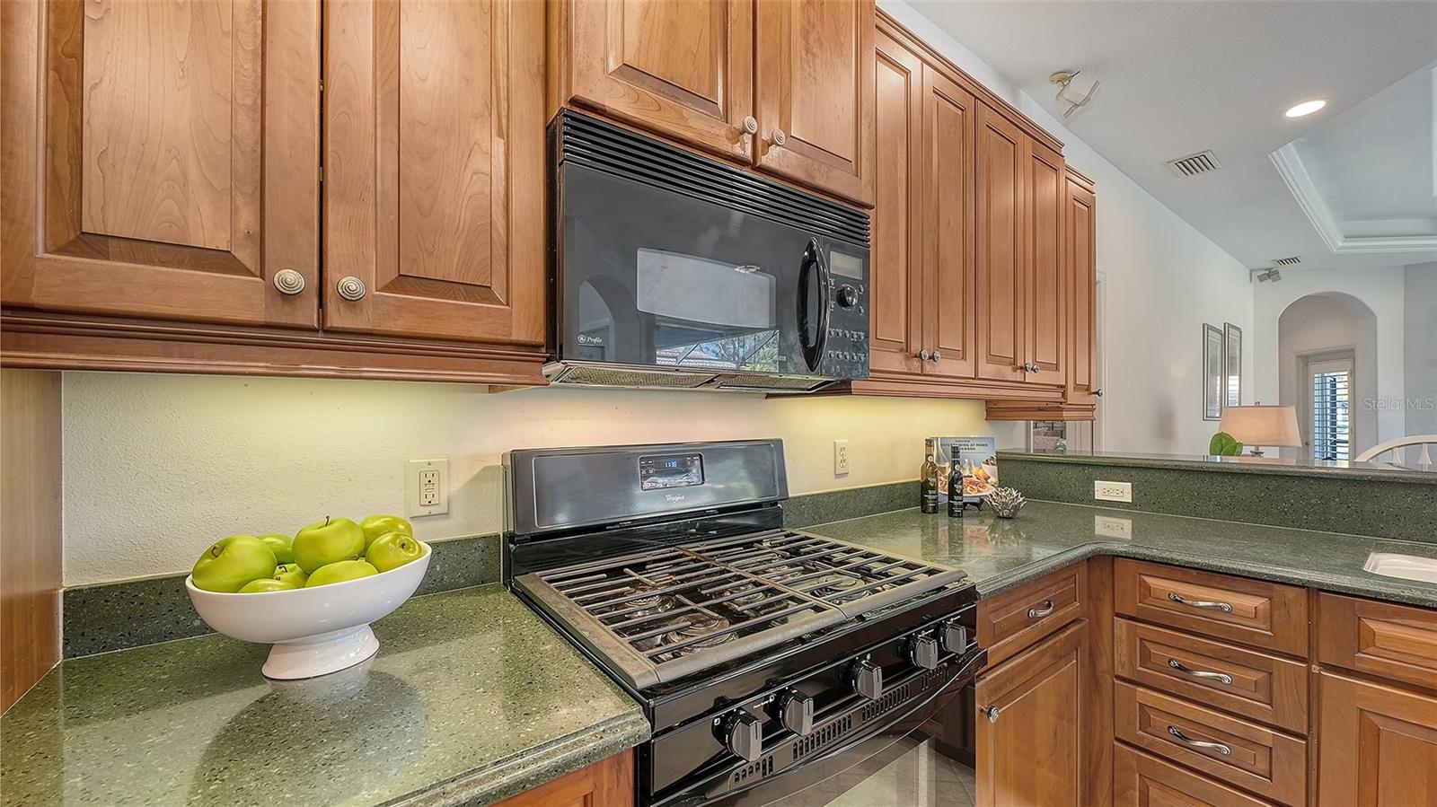 665 CRANE PRAIRIE WAY, OSPREY, FL, 34229