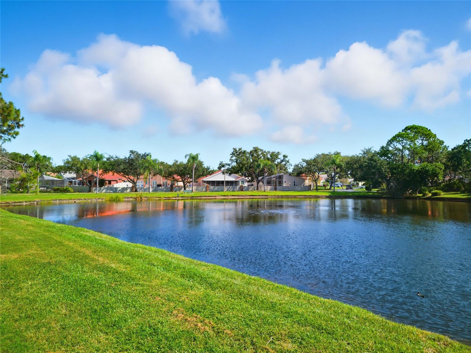 484 AVILA CIR NE, ST PETERSBURG, FL, 33703