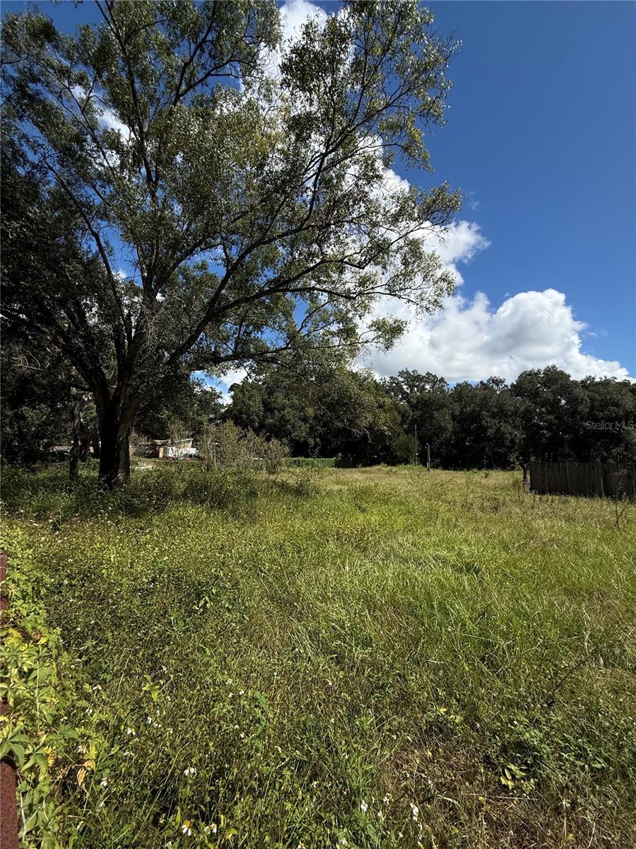 11158 GALAXY LN, THONOTOSASSA, FL, 33592