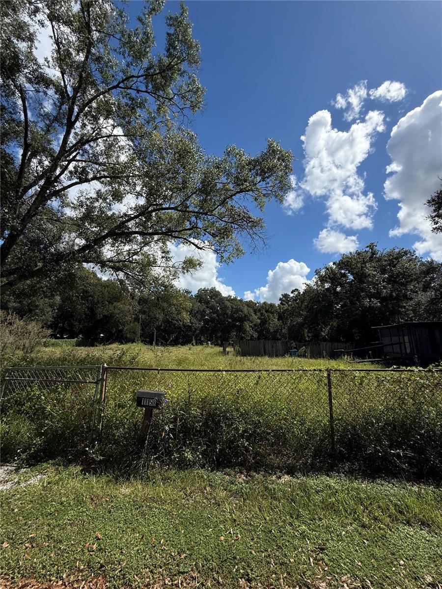 11158 GALAXY LN, THONOTOSASSA, FL, 33592