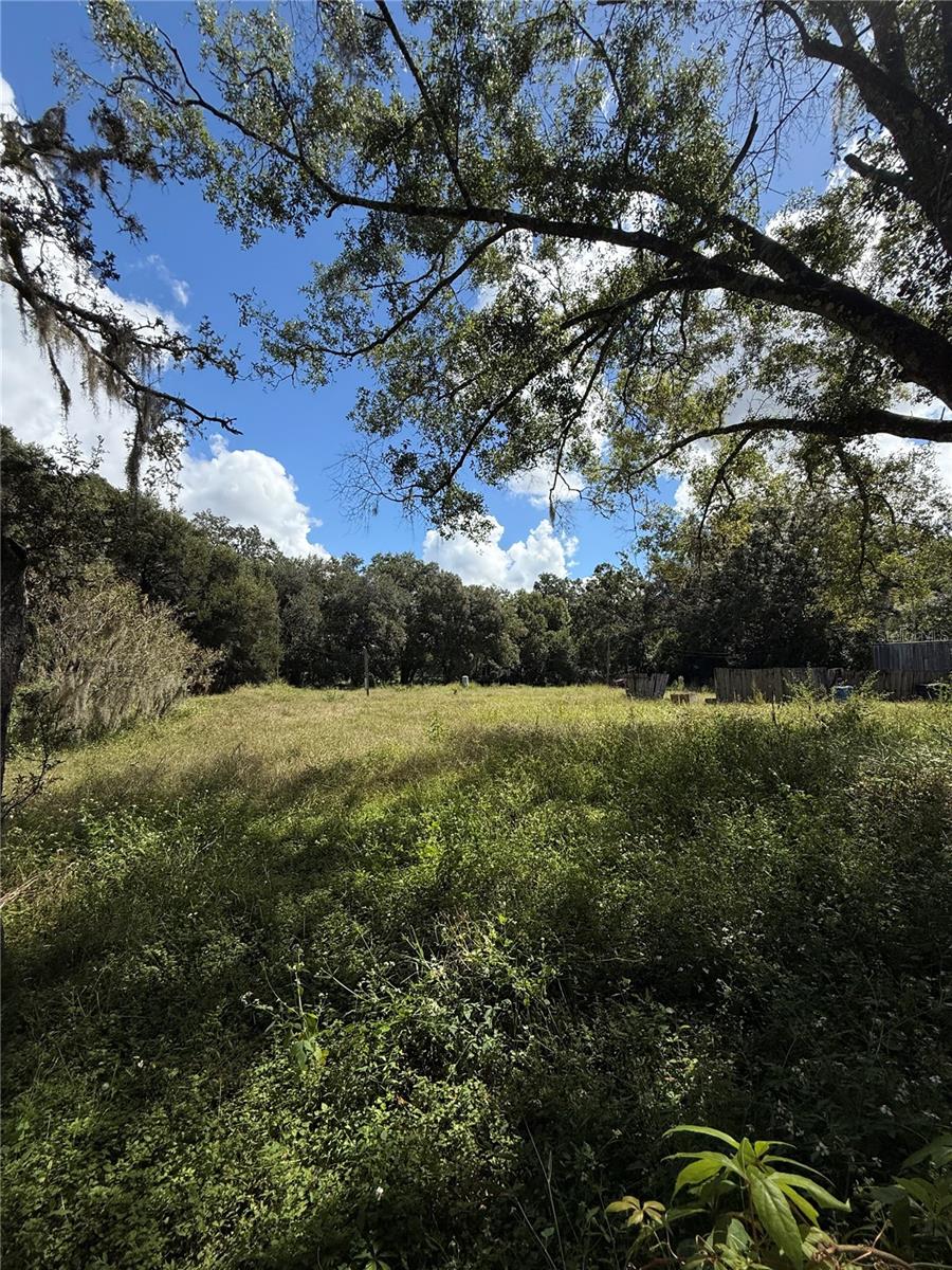 11158 GALAXY LN, THONOTOSASSA, FL, 33592