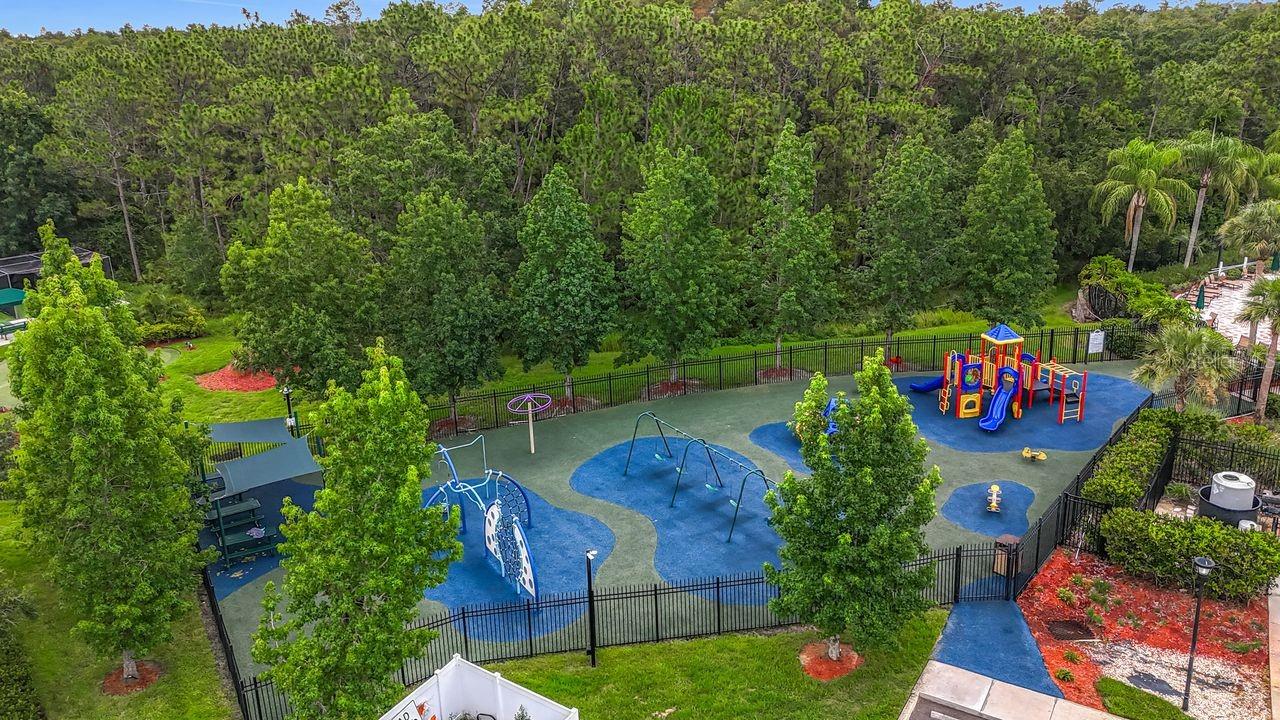 20626 LONGLEAF PINE AVE, TAMPA, FL, 33647