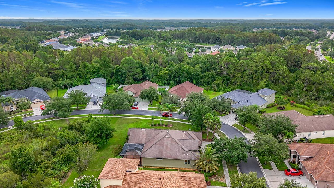 20626 LONGLEAF PINE AVE, TAMPA, FL, 33647