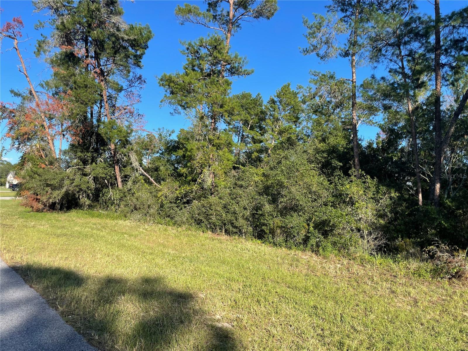 MARION OAKS LANE, OCALA, FL, 34476