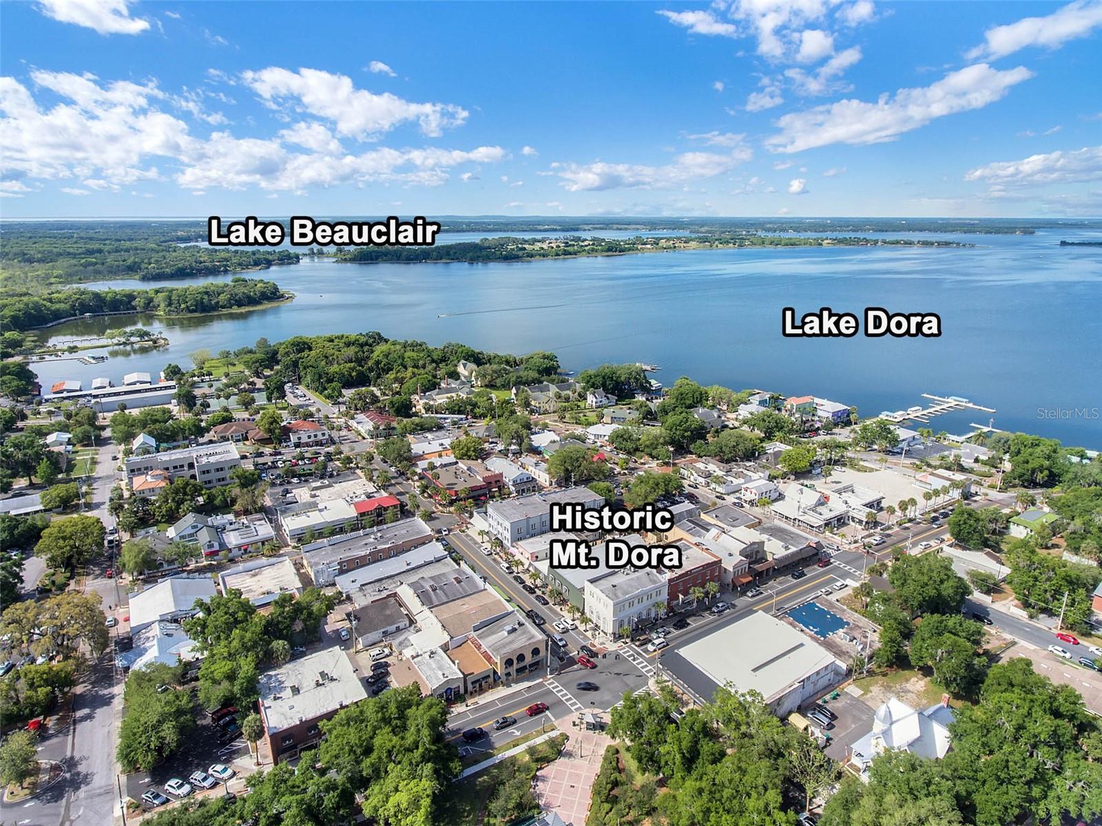 610 S HIGHLAND ST, MOUNT DORA, FL, 32757