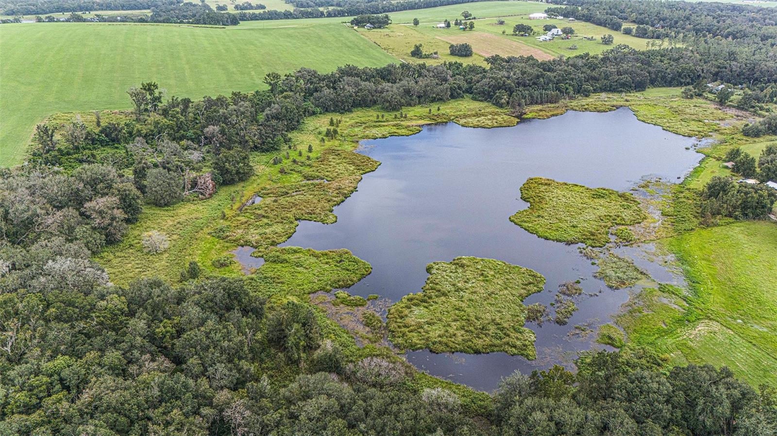 0 19-24-21-0000-00600-0010, DADE CITY, FL, 33526