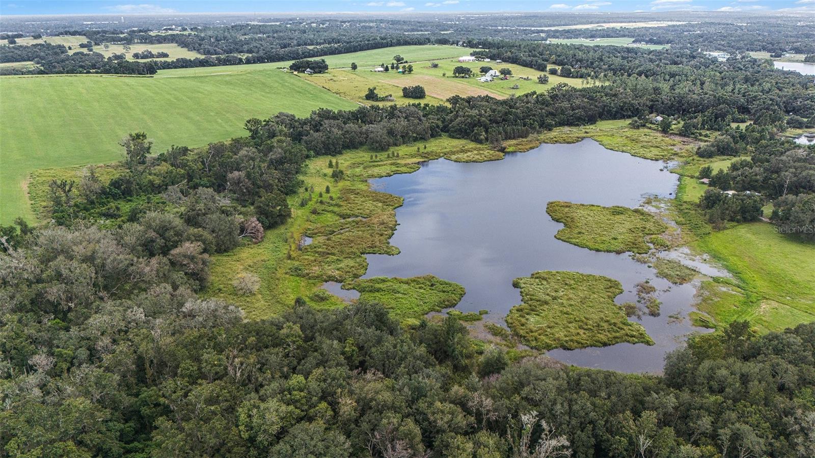 0 19-24-21-0000-00600-0010, DADE CITY, FL, 33526