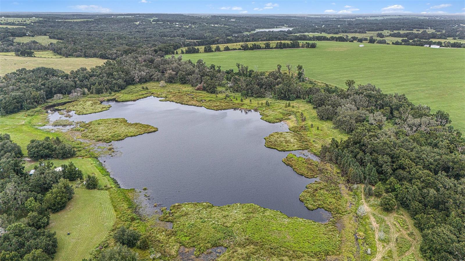 0 19-24-21-0000-00600-0010, DADE CITY, FL, 33526