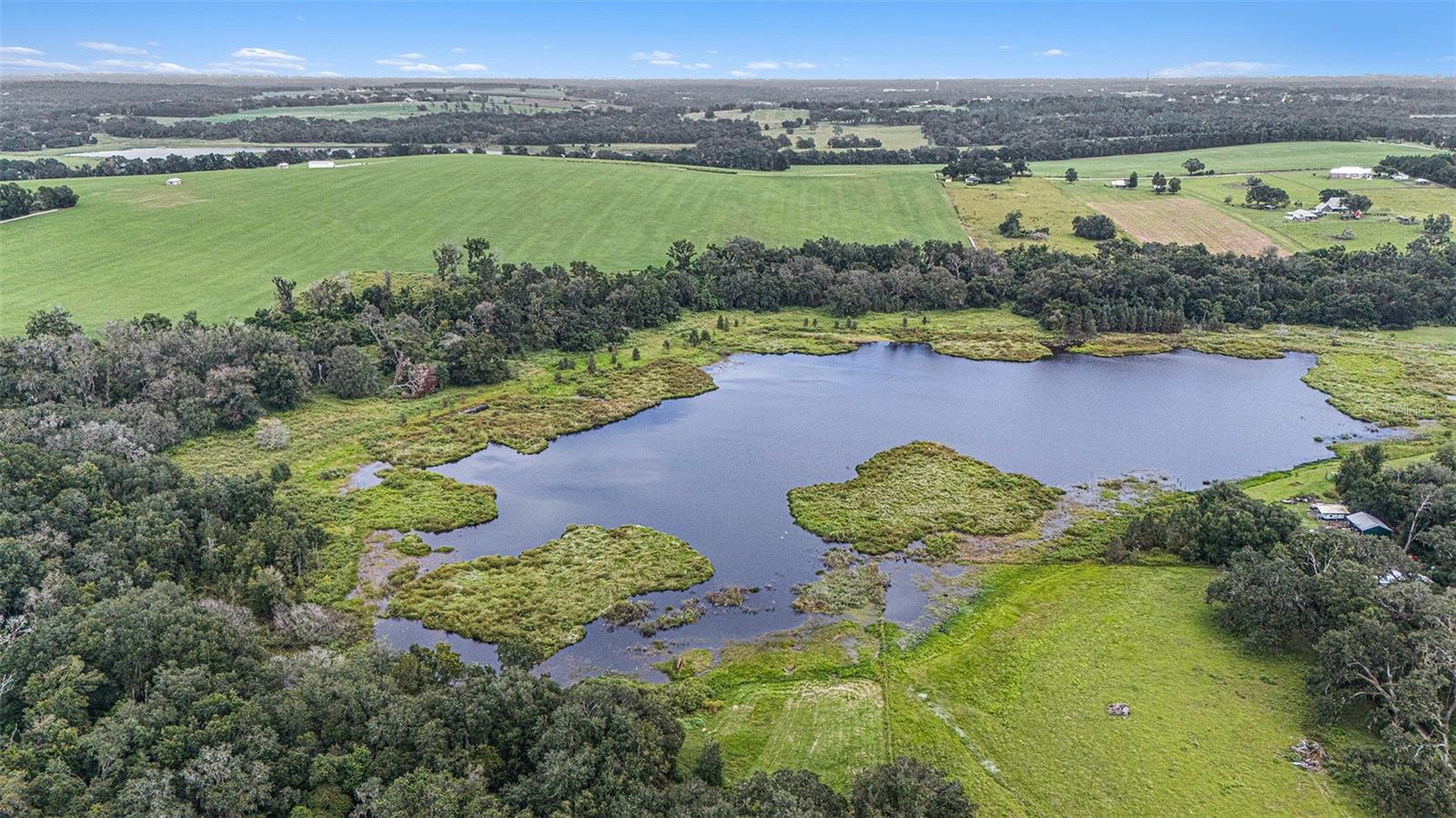 0 19-24-21-0000-00600-0010, DADE CITY, FL, 33526