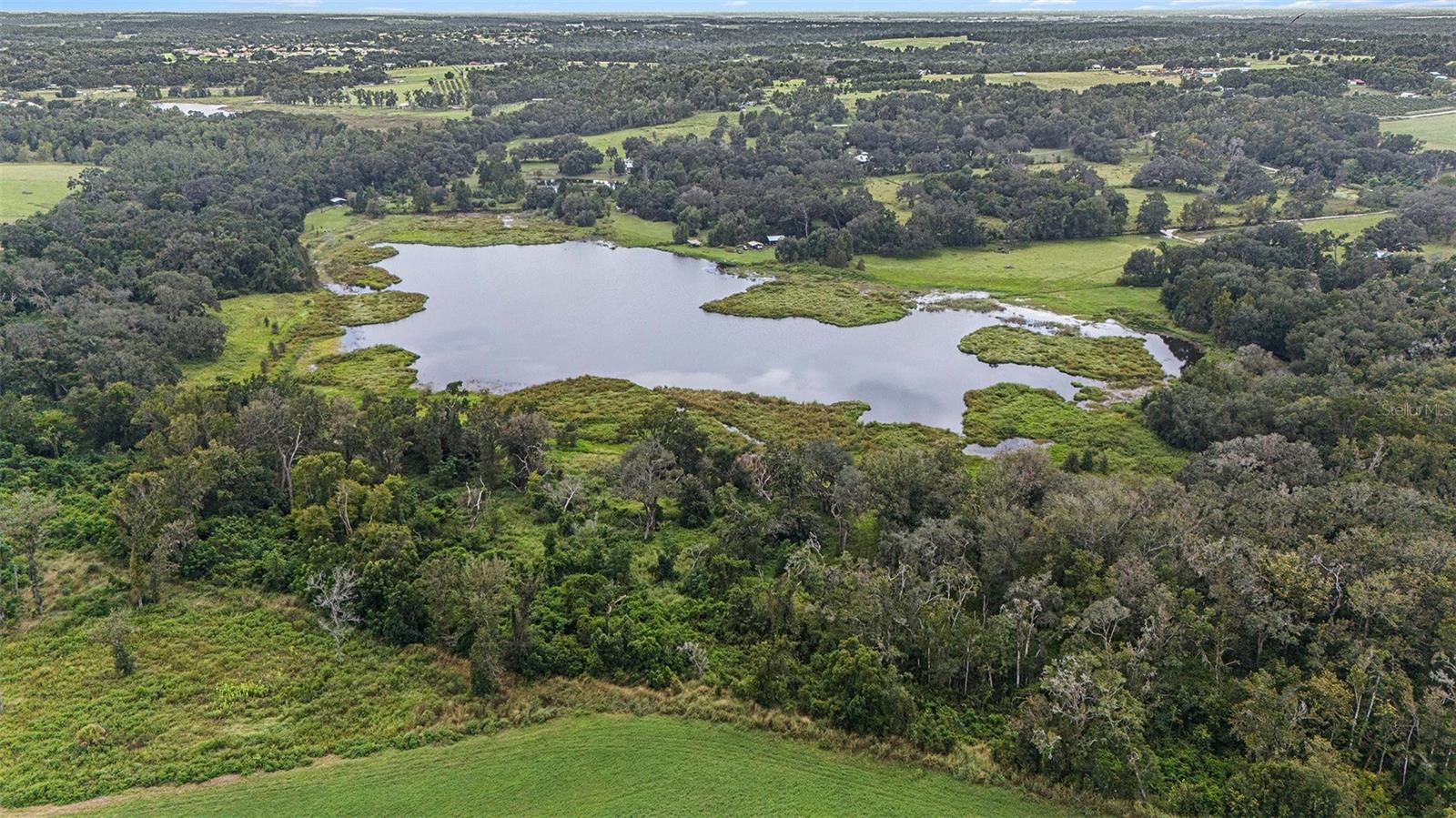 0 19-24-21-0000-00600-0010, DADE CITY, FL, 33526