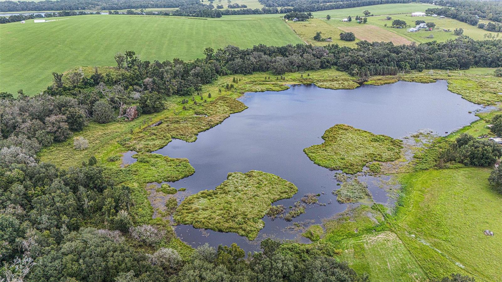 0 19-24-21-0000-00600-0010, DADE CITY, FL, 33526