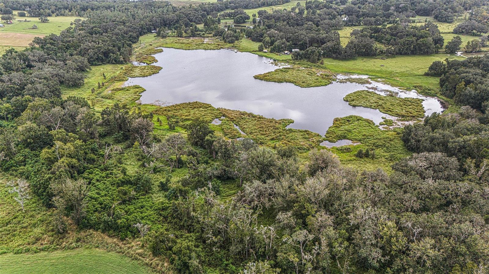 0 19-24-21-0000-00600-0010, DADE CITY, FL, 33526