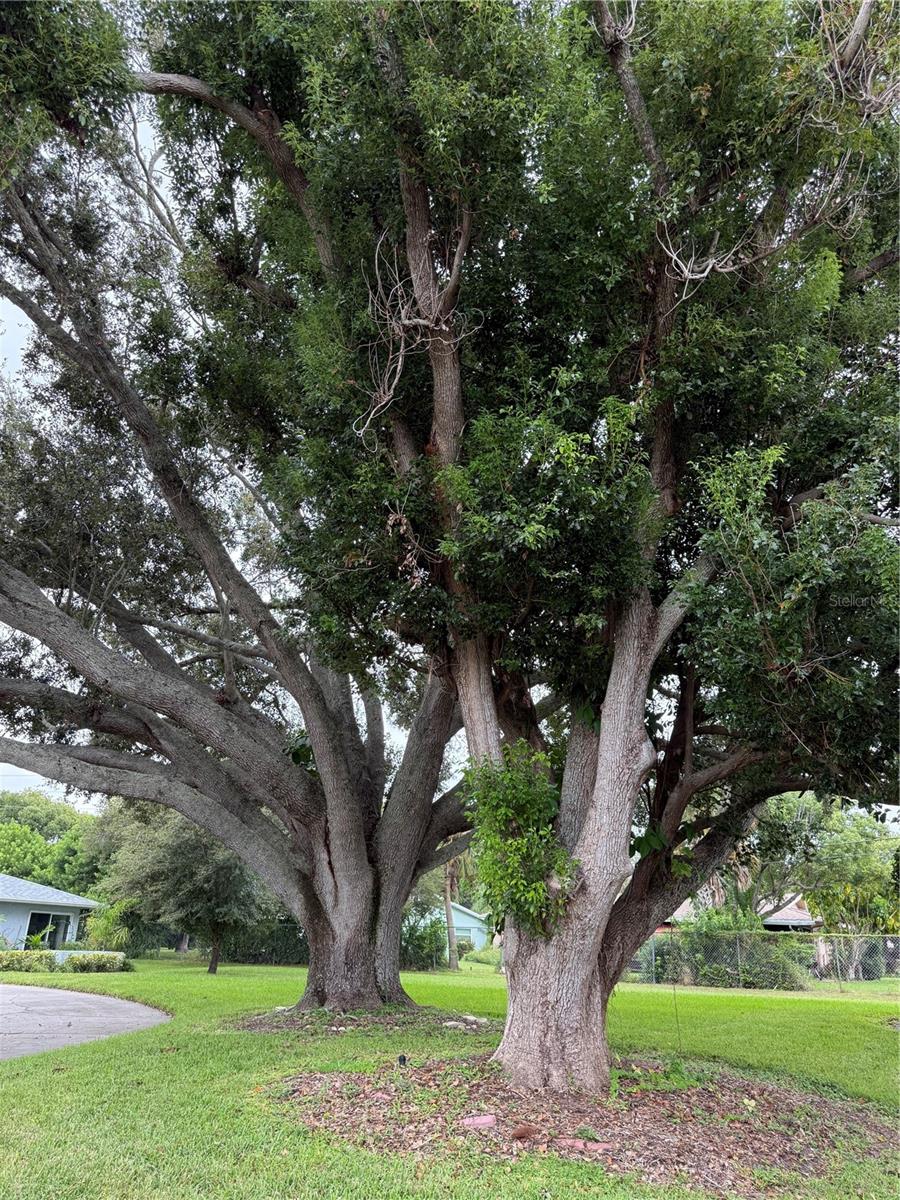 TB8433122 Property Photo