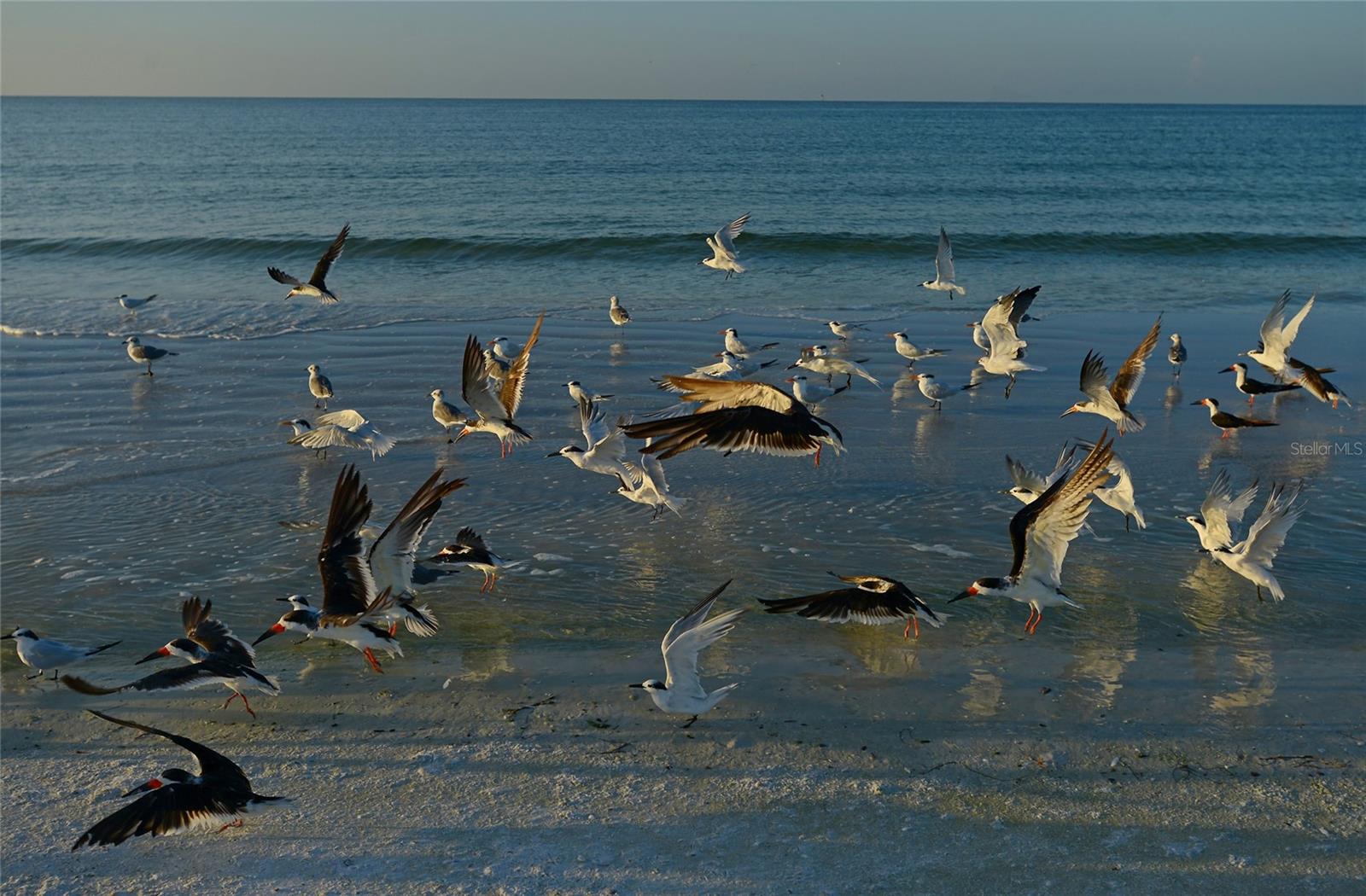 37 WATERFORD DR, ENGLEWOOD, FL, 34223