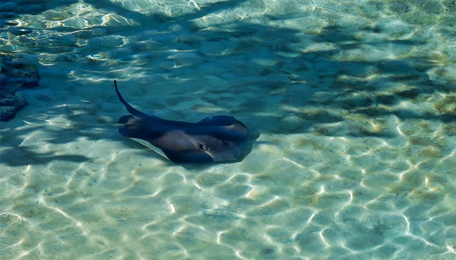 A4666877 Property Photo