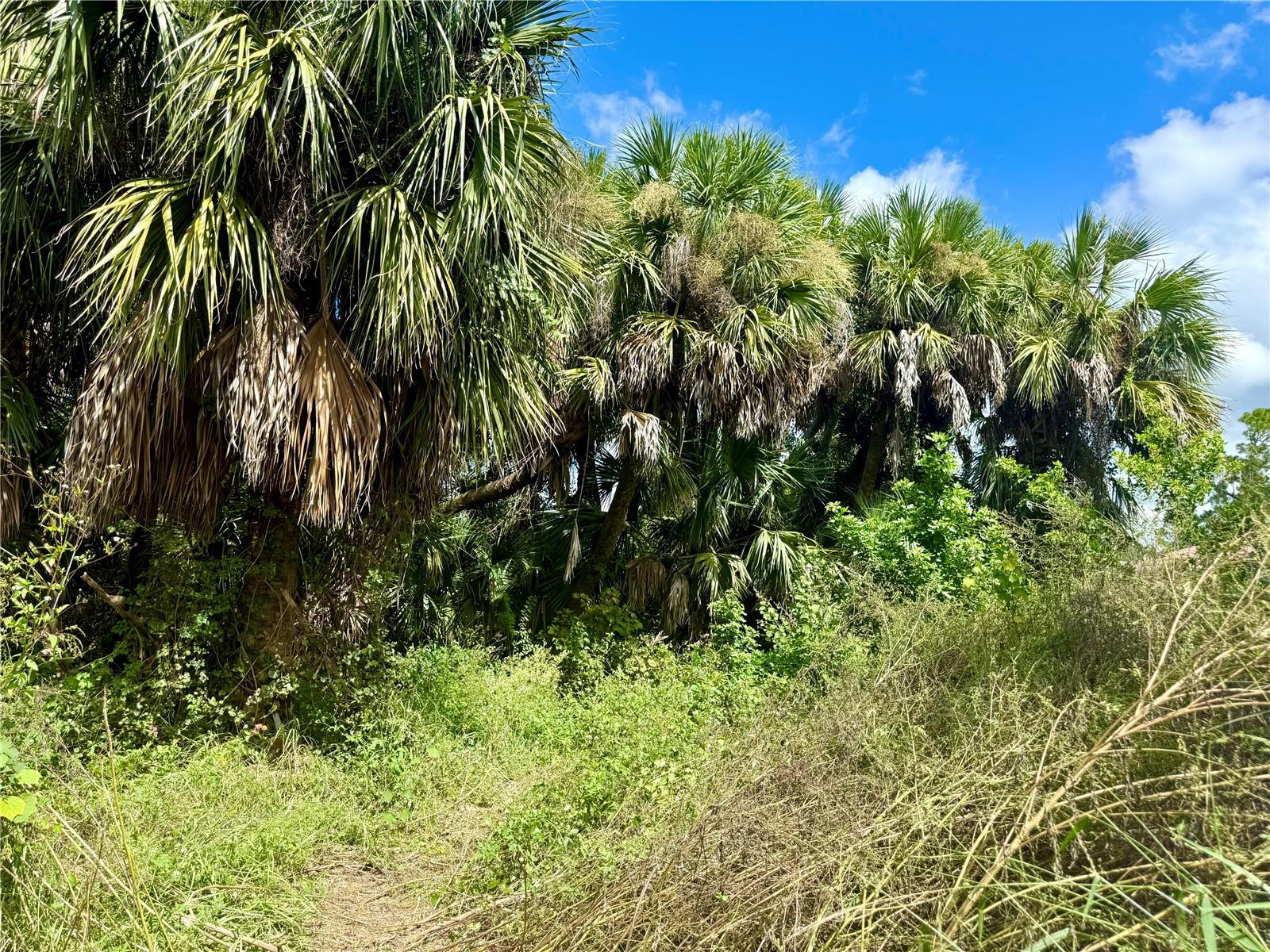 BILLY CT #LOTS 7, 8, 9 & 10, NORTH PORT, FL, 34288