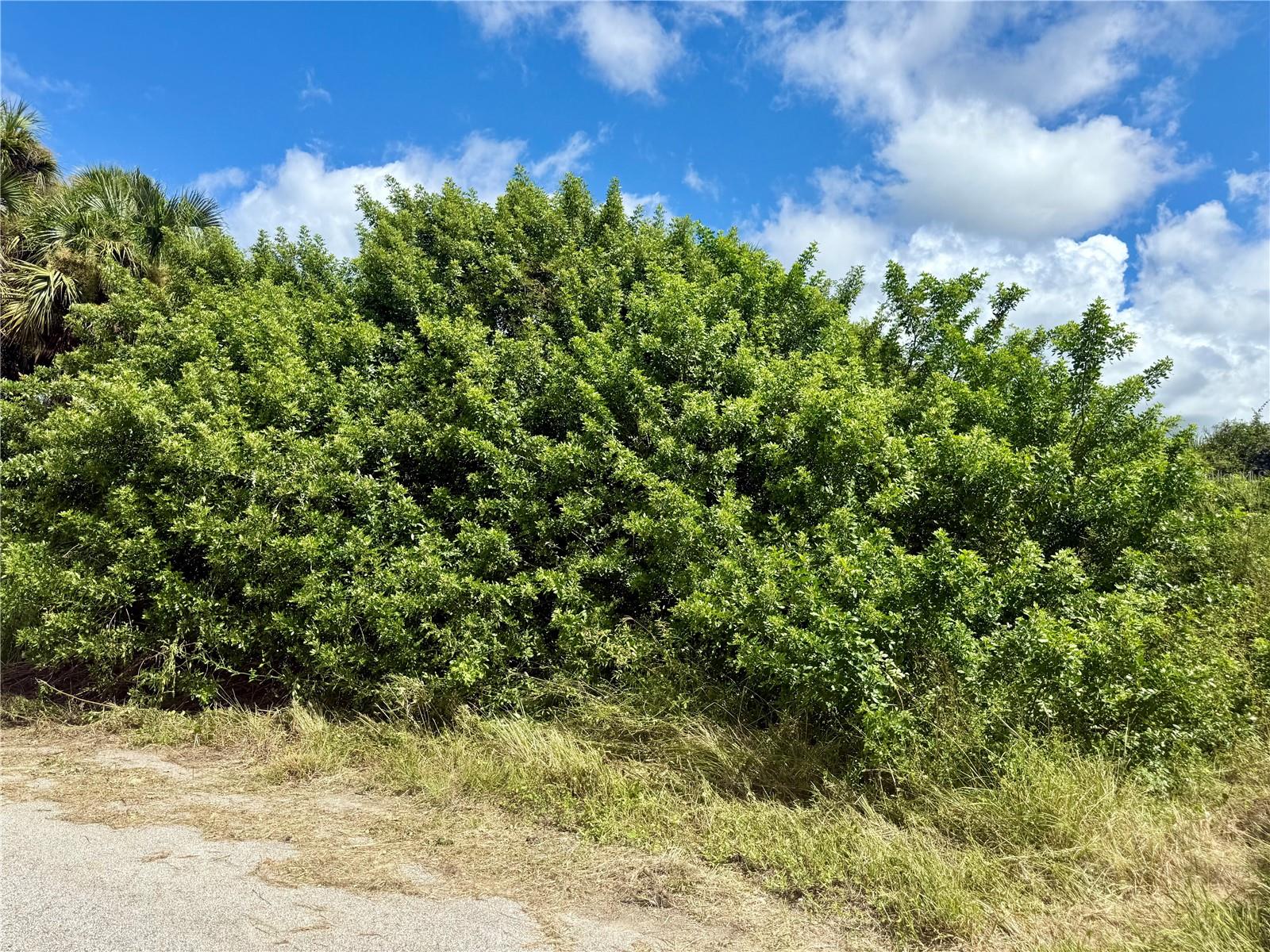 BILLY CT #LOTS 7, 8, 9 & 10, NORTH PORT, FL, 34288