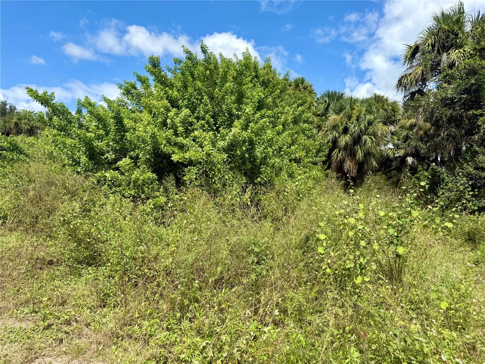 BILLY CT #LOTS 7, 8, 9 & 10, NORTH PORT, FL, 34288