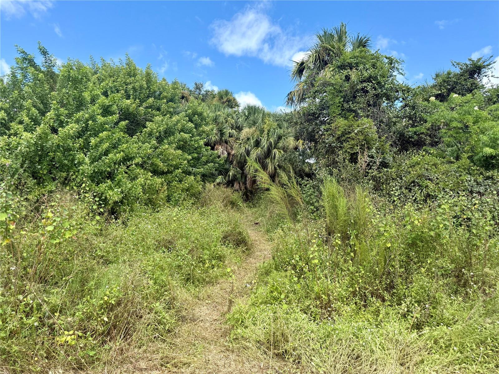 BILLY CT #LOTS 7, 8, 9 & 10, NORTH PORT, FL, 34288