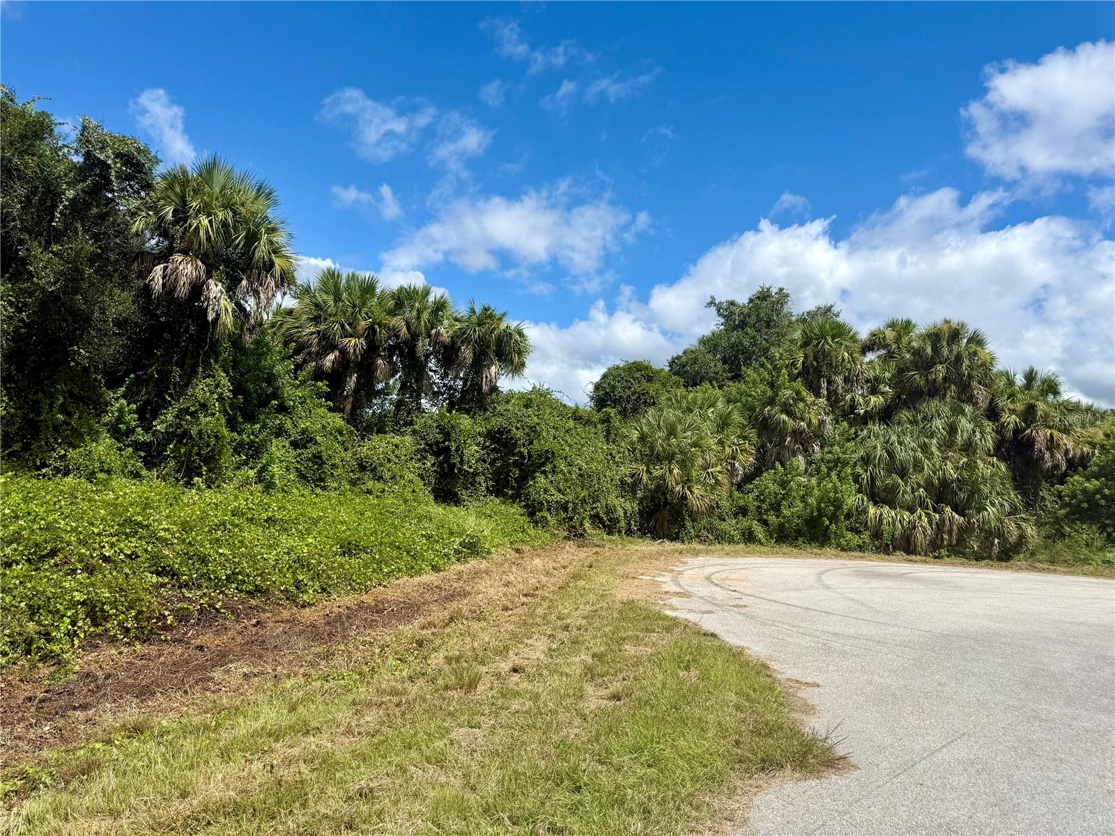 BILLY CT #LOTS 7, 8, 9 & 10, NORTH PORT, FL, 34288