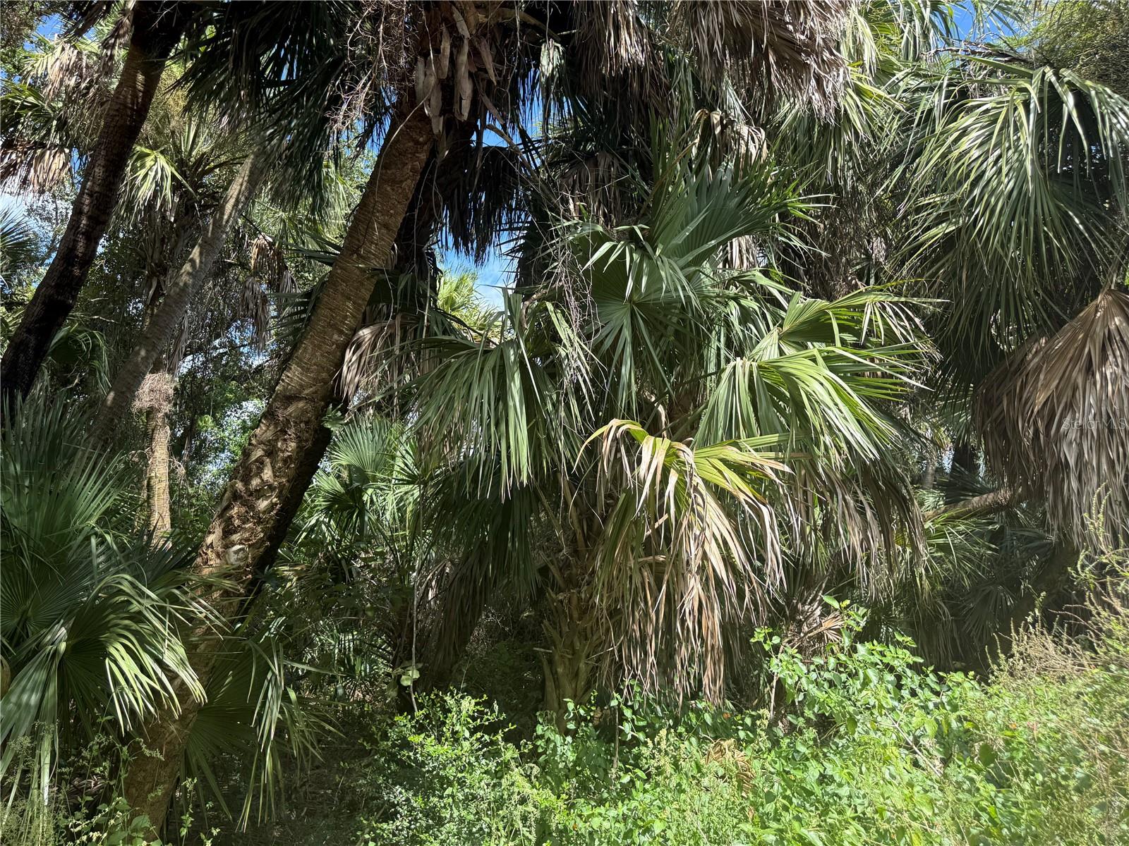 BILLY CT #LOTS 7, 8, 9 & 10, NORTH PORT, FL, 34288