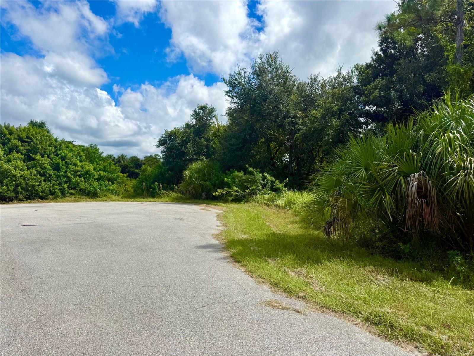 BILLY CT #LOTS 7, 8, 9 & 10, NORTH PORT, FL, 34288