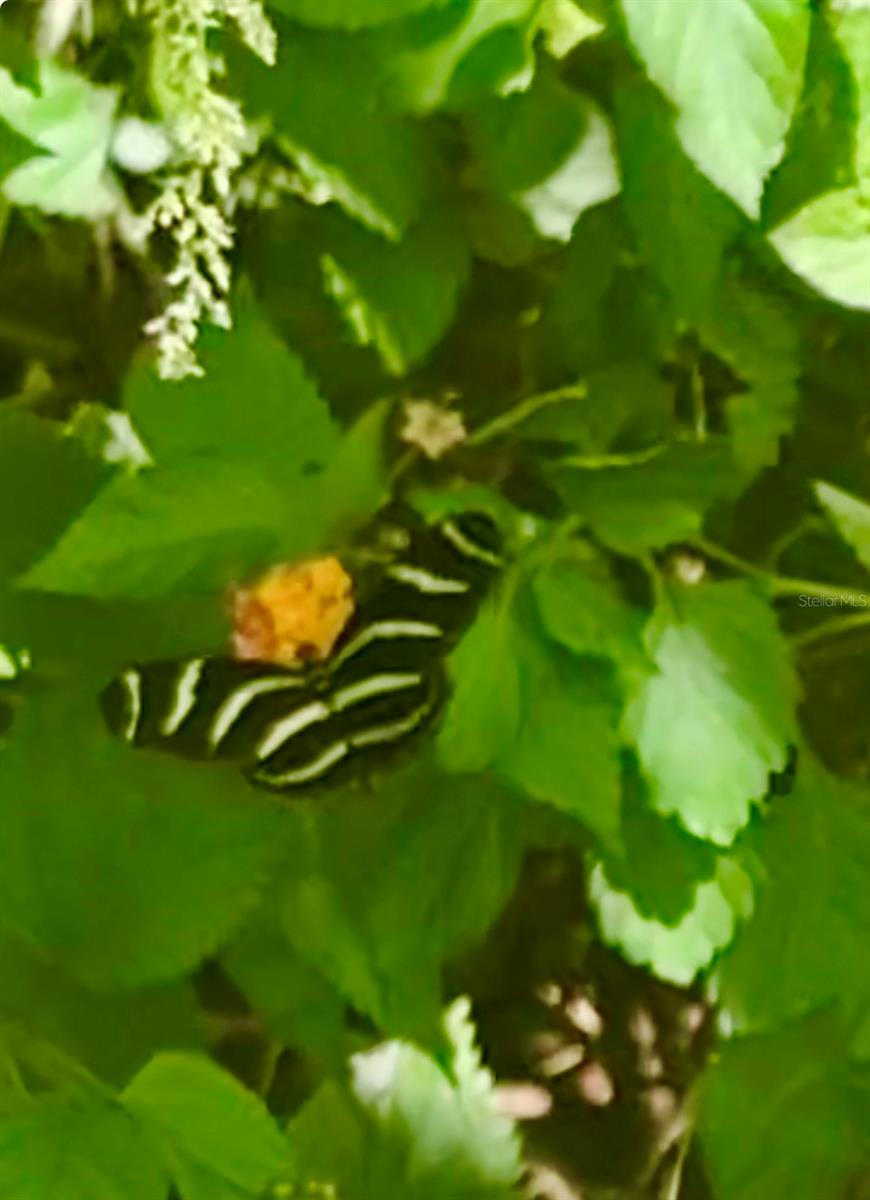 BILLY CT #LOTS 7, 8, 9 & 10, NORTH PORT, FL, 34288