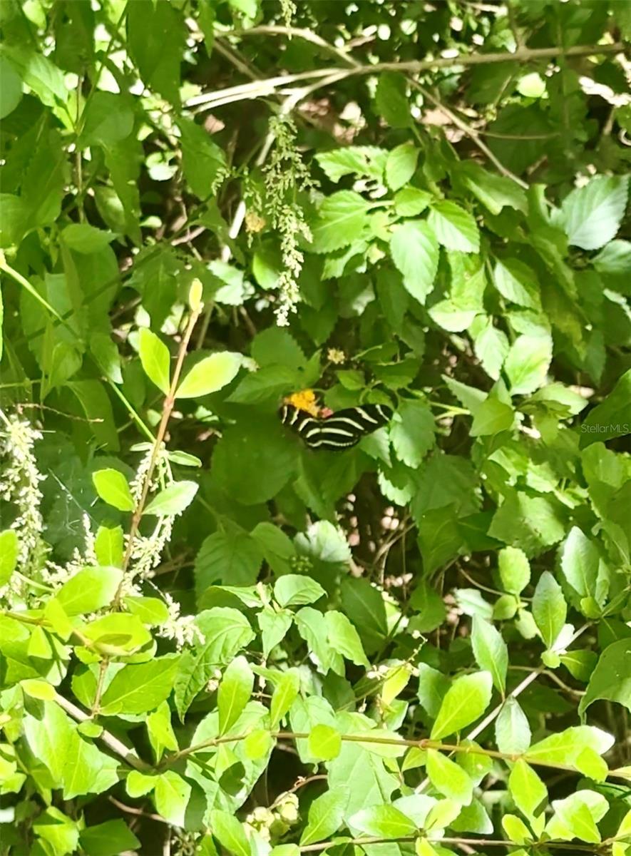 BILLY CT #LOTS 7, 8, 9 & 10, NORTH PORT, FL, 34288