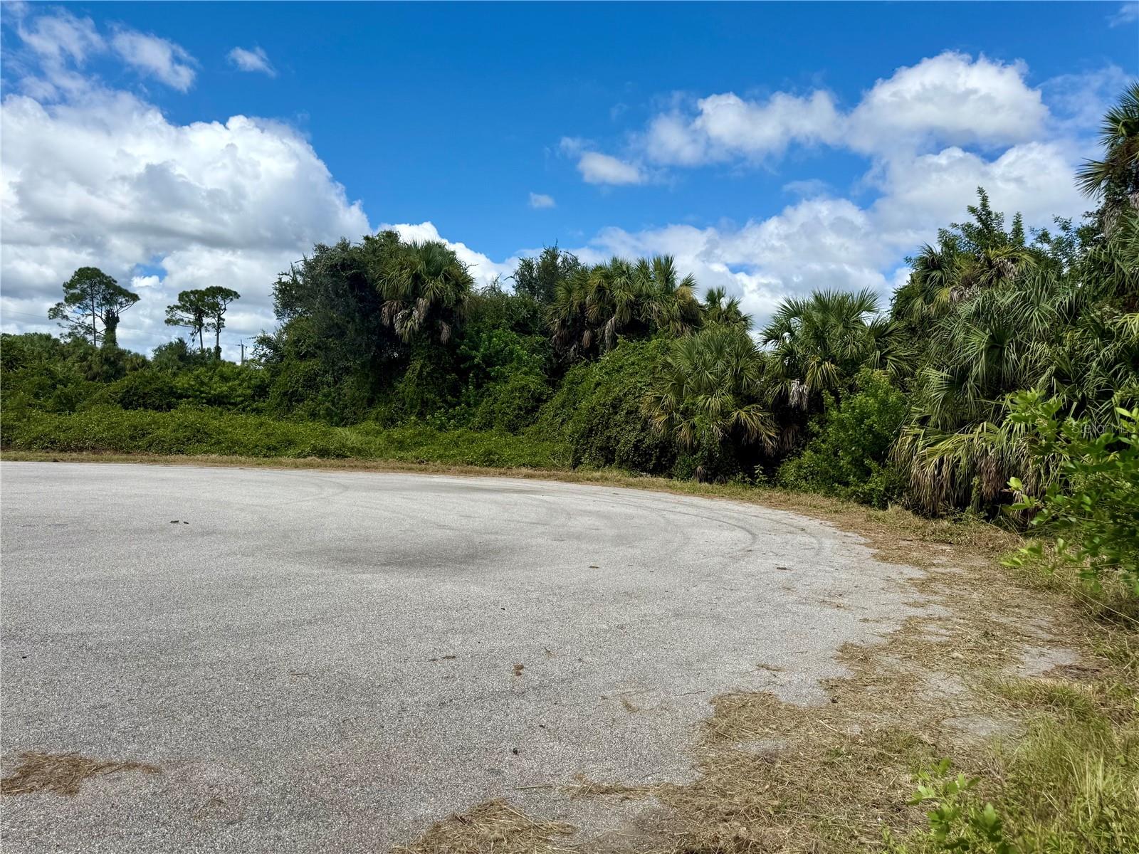 BILLY CT #LOTS 7, 8, 9 & 10, NORTH PORT, FL, 34288