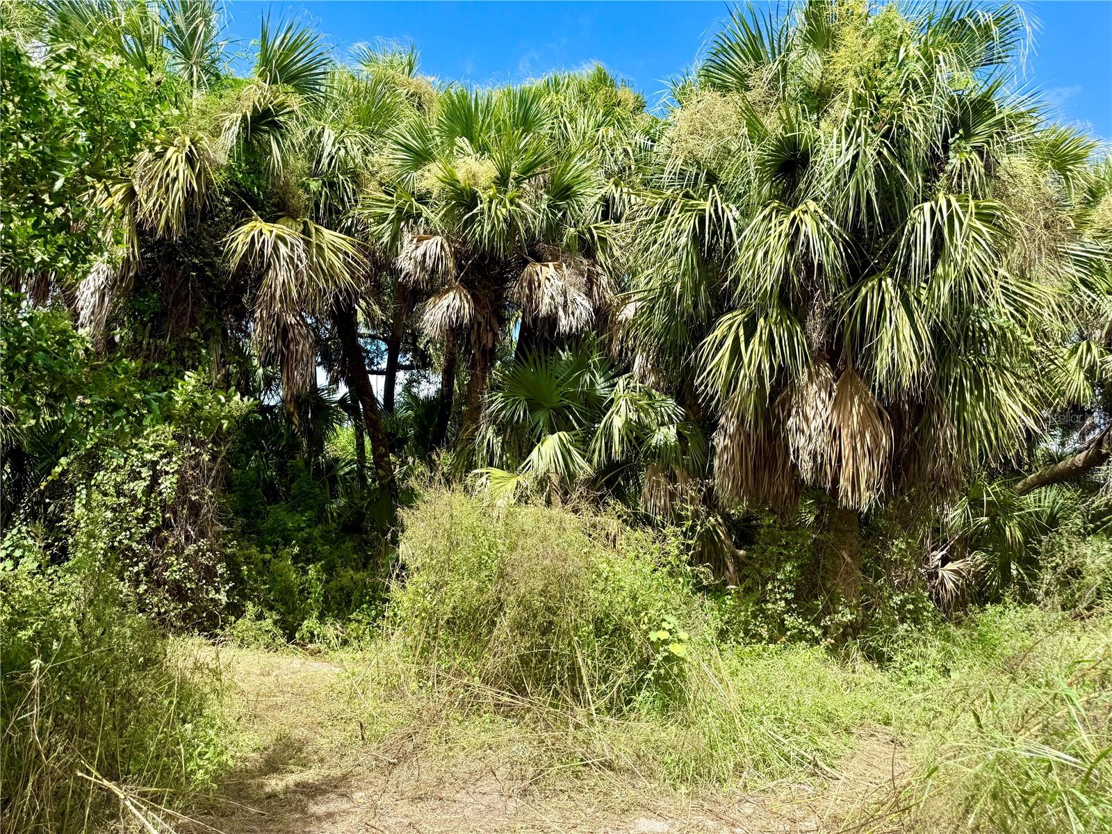 BILLY CT #LOTS 7, 8, 9 & 10, NORTH PORT, FL, 34288