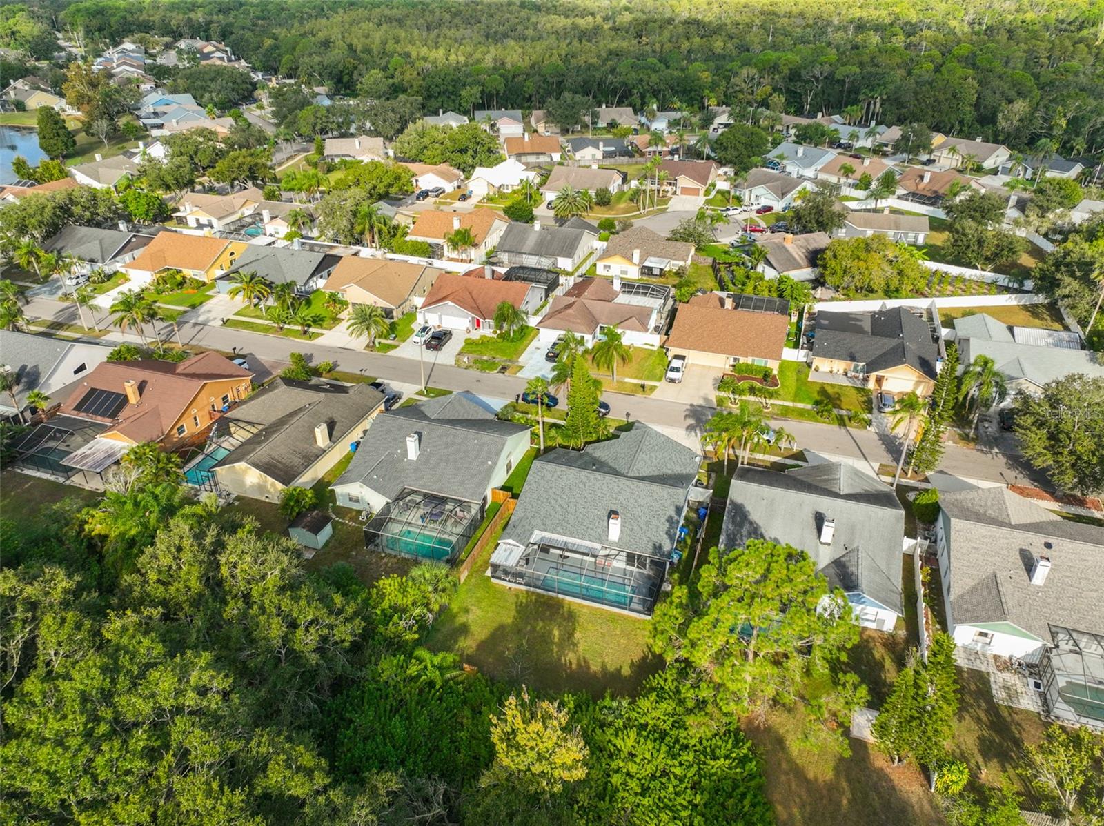 12018 STEPPINGSTONE BLVD, TAMPA, FL, 33635