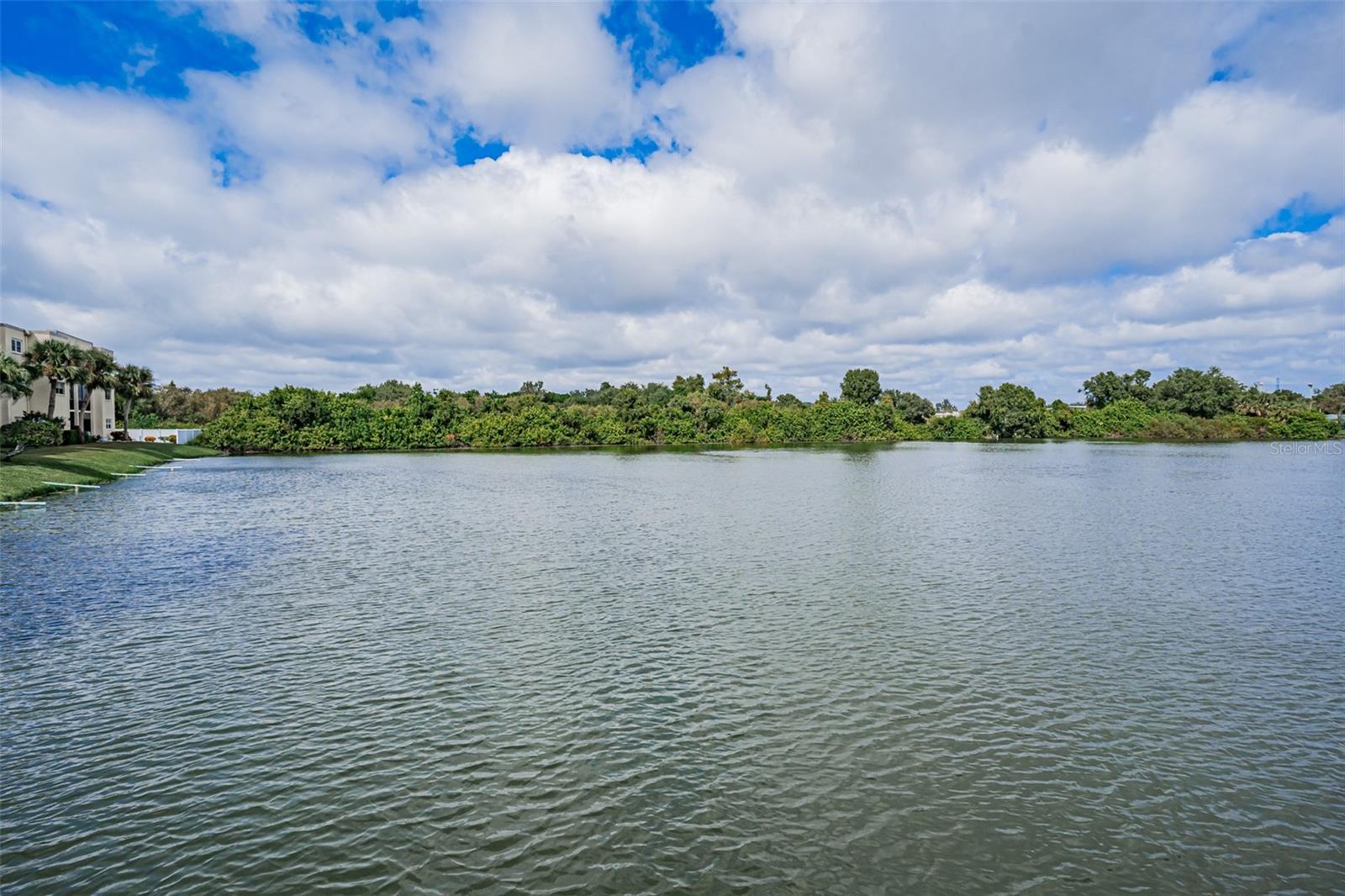 Enjoy the peaceful waterview