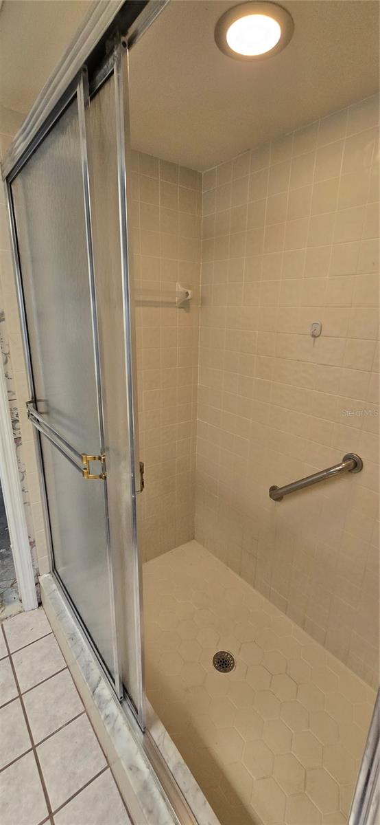 923 HAMMOCK SHADE DR, LAKELAND, FL, 33809