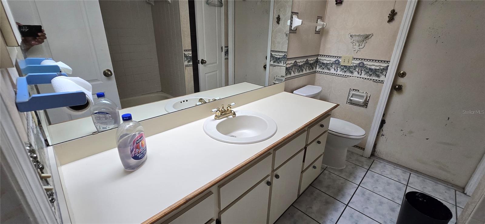 923 HAMMOCK SHADE DR, LAKELAND, FL, 33809