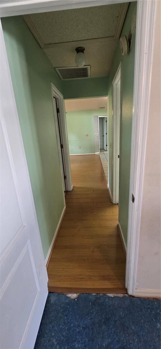 923 HAMMOCK SHADE DR, LAKELAND, FL, 33809