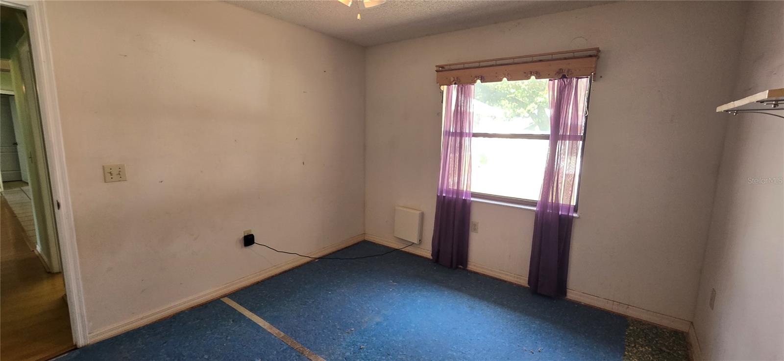 923 HAMMOCK SHADE DR, LAKELAND, FL, 33809