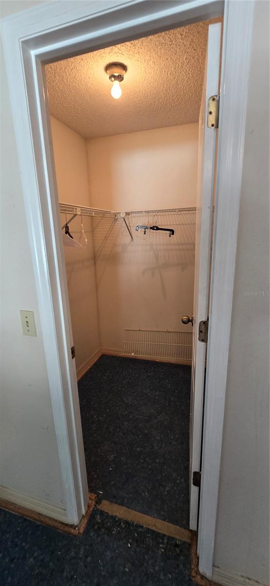 923 HAMMOCK SHADE DR, LAKELAND, FL, 33809