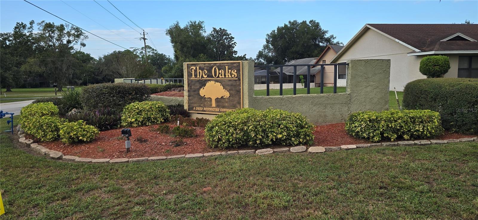 923 HAMMOCK SHADE DR, LAKELAND, FL, 33809