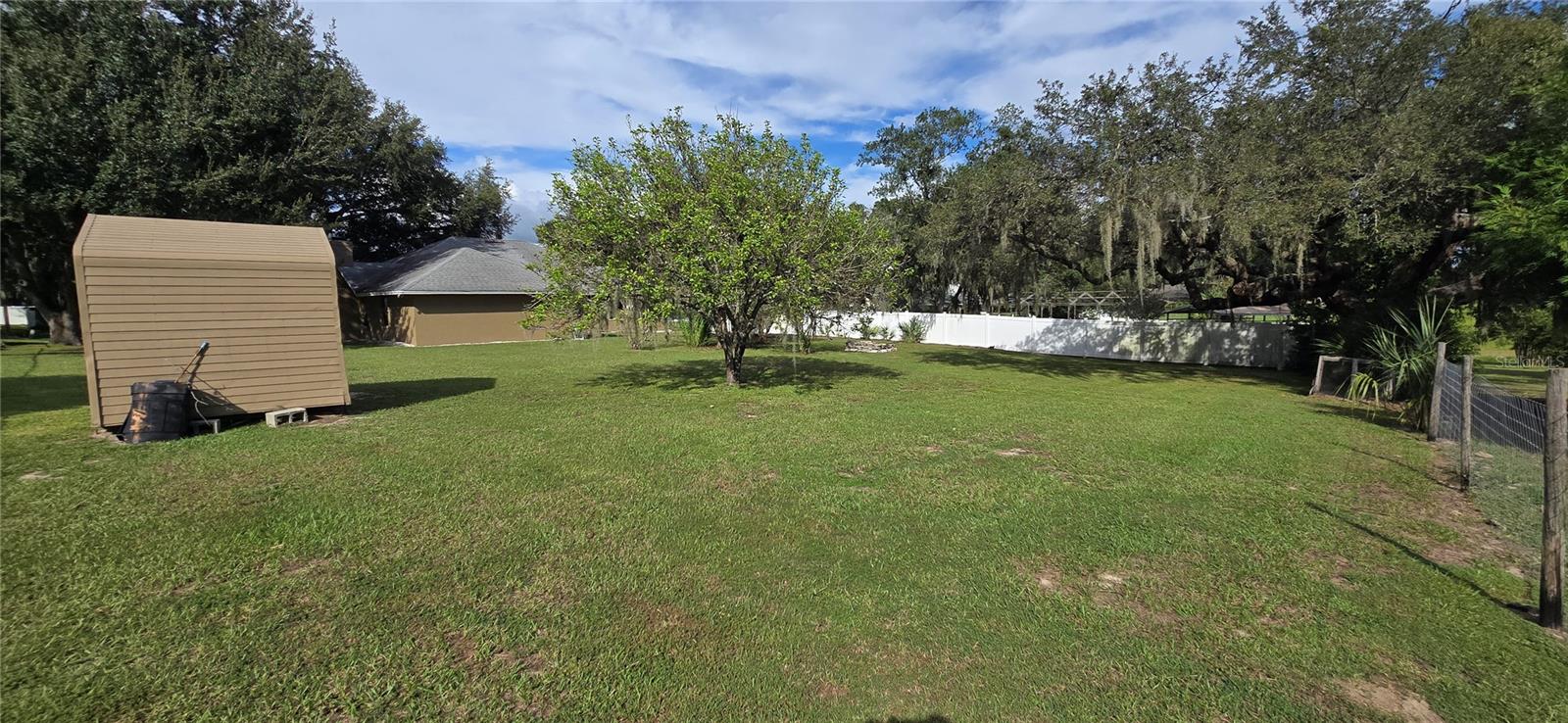 923 HAMMOCK SHADE DR, LAKELAND, FL, 33809