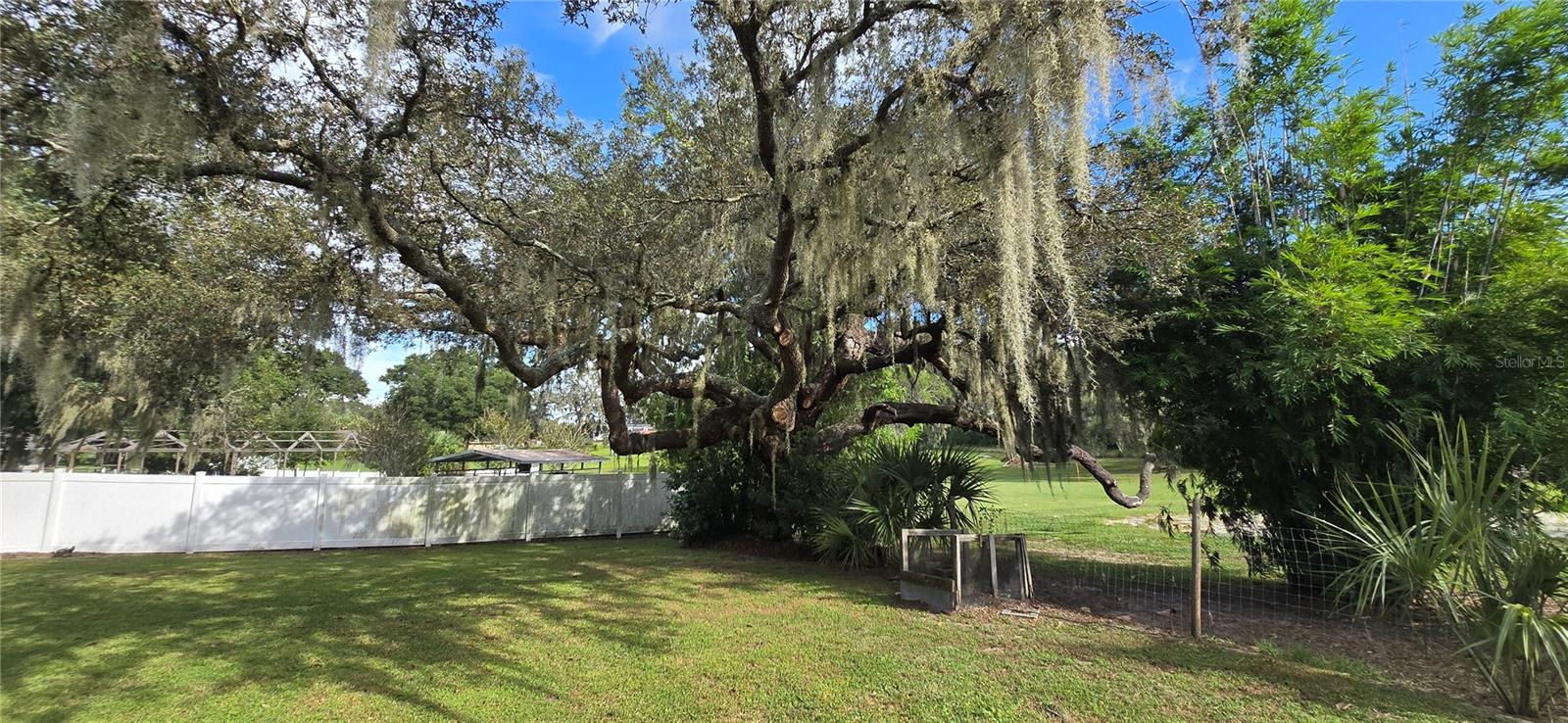 923 HAMMOCK SHADE DR, LAKELAND, FL, 33809