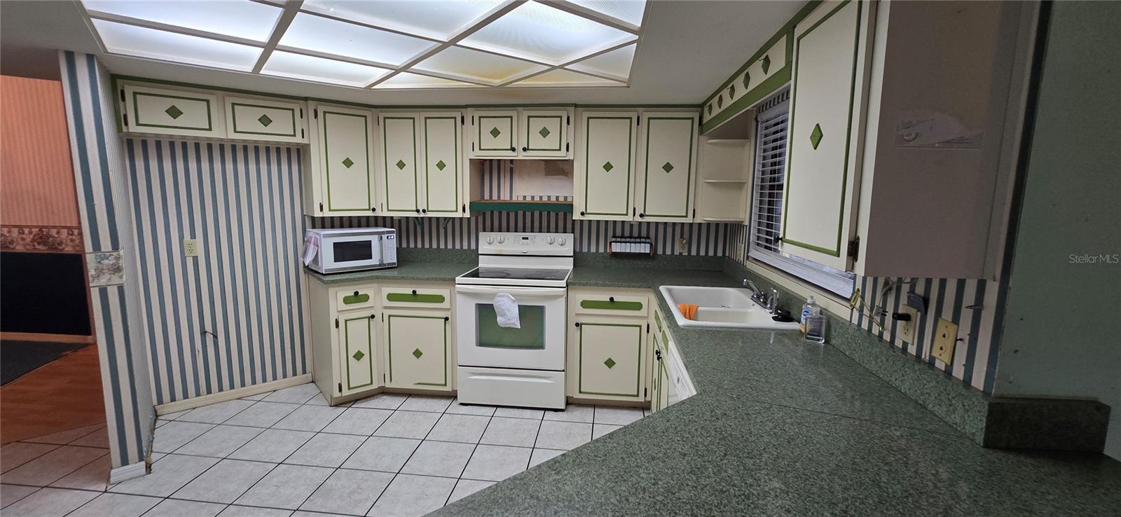 923 HAMMOCK SHADE DR, LAKELAND, FL, 33809