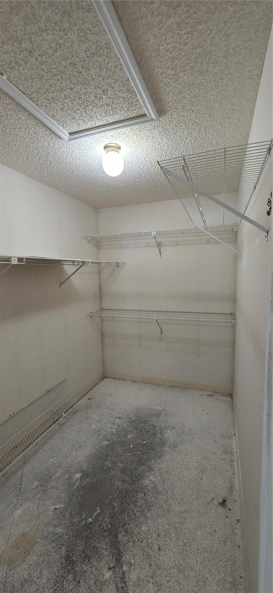 923 HAMMOCK SHADE DR, LAKELAND, FL, 33809