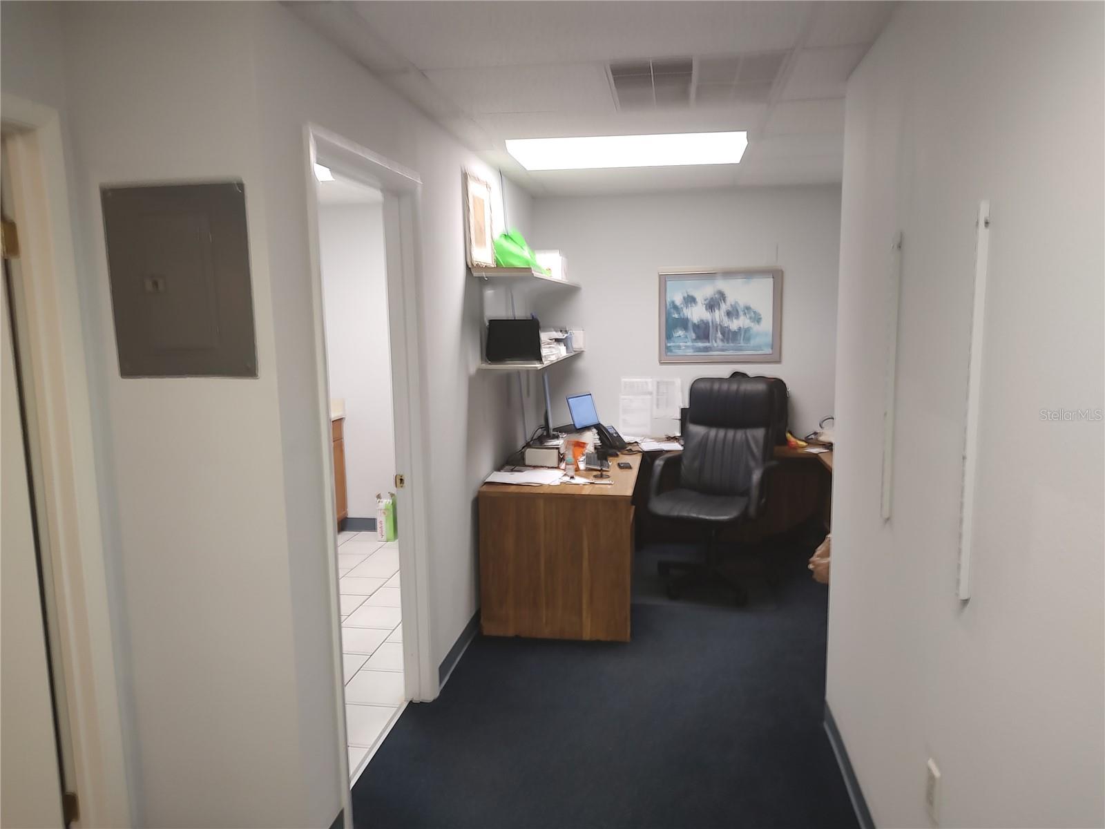 3805 WEST SHORE, TAMPA, FL, 33611