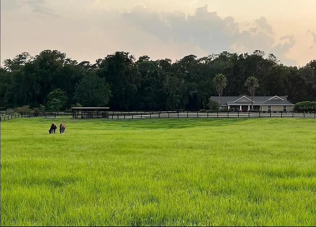 12865 W HIGHWAY 40, OCALA, FL, 34481