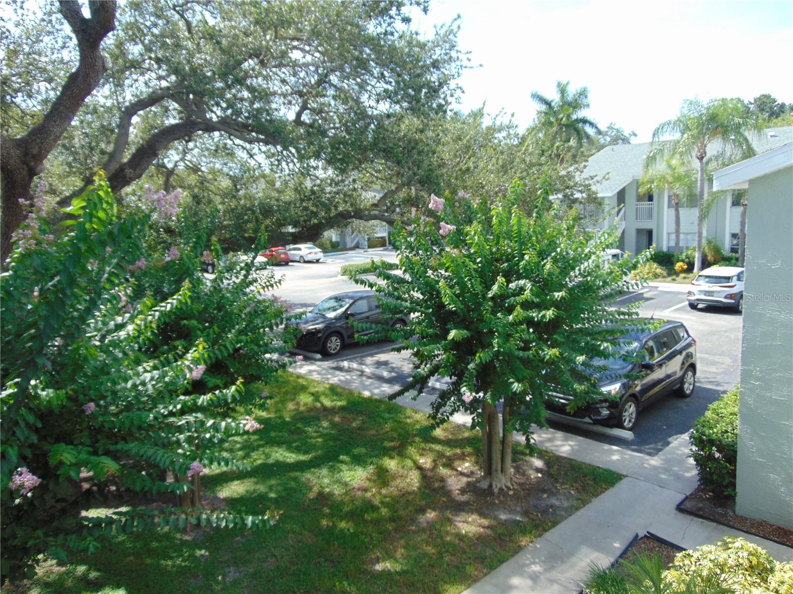 5440 S MACDILL AVE #3K, TAMPA, FL, 33611