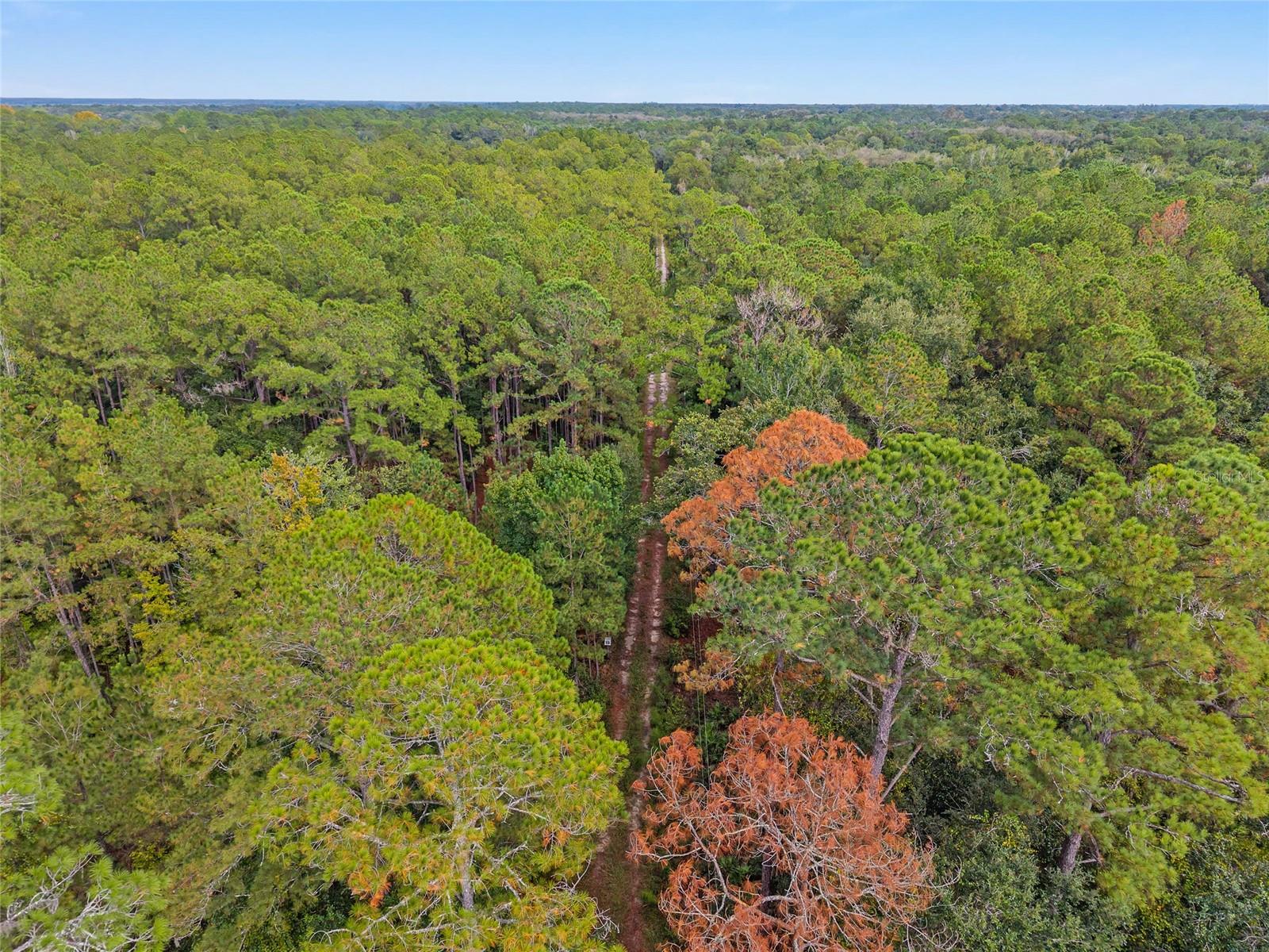 11427 SW 10TH TER, MICANOPY, FL, 32667