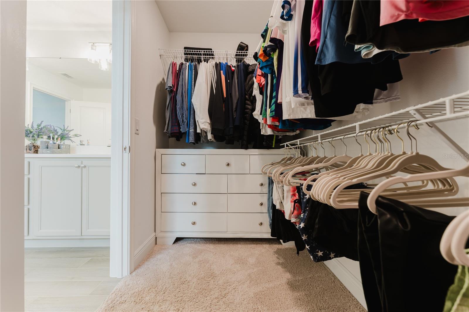 11359 PIXIE MANDARIN CT, WINTER GARDEN, FL, 34787