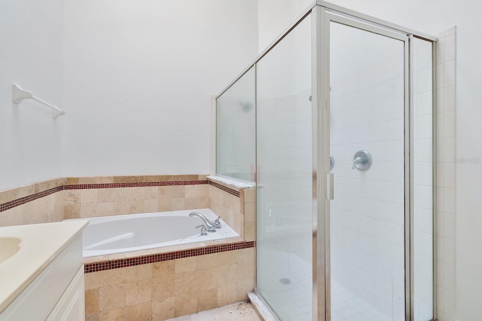 608 BRIDGE CREEK BLVD, OCOEE, FL, 34761