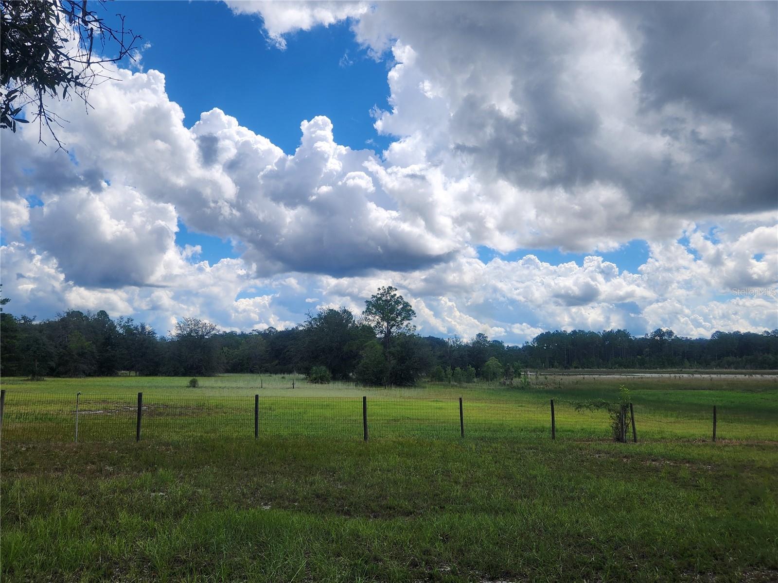 OM710654 Property Photo