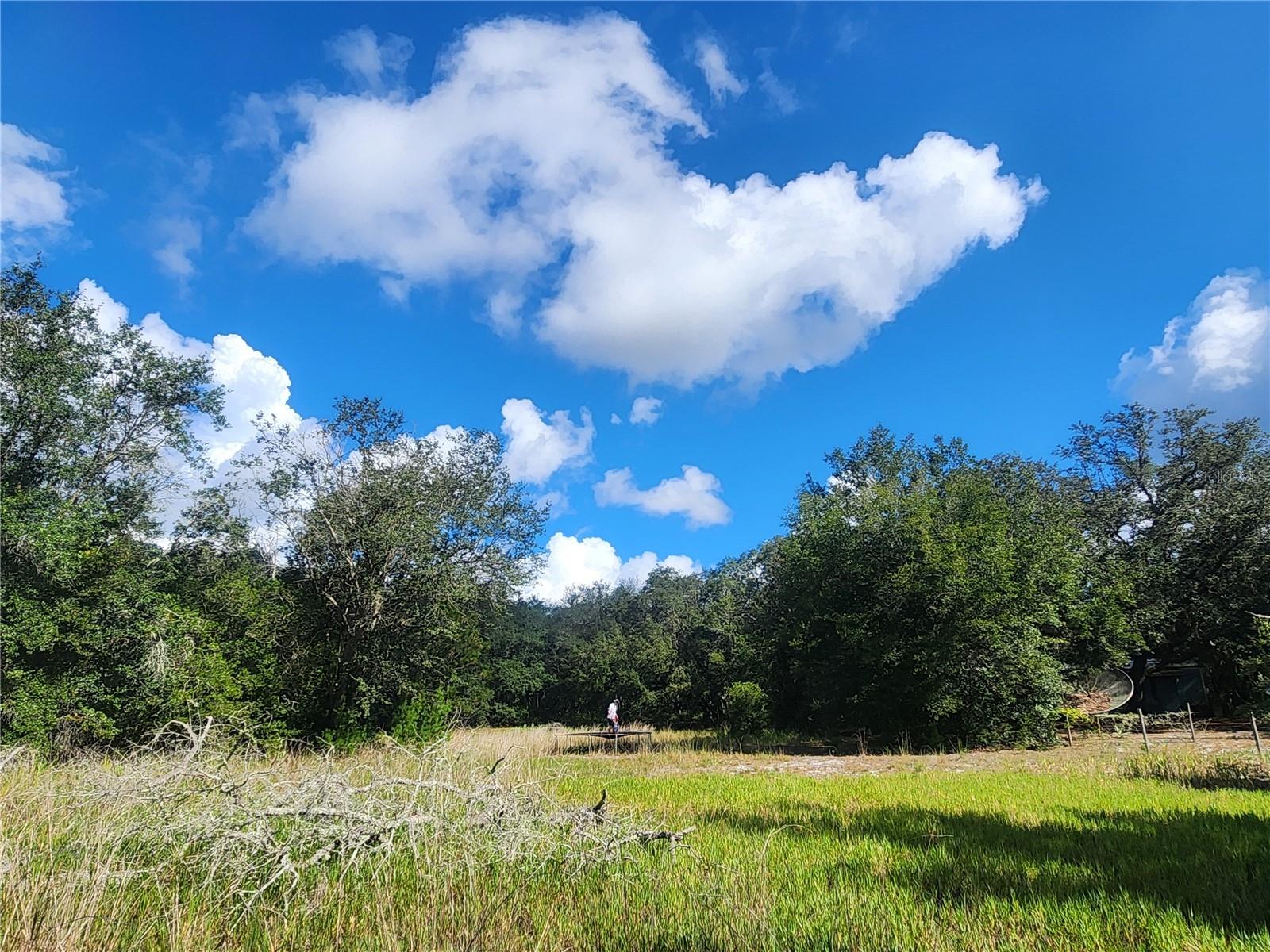 OM710654 Property Photo